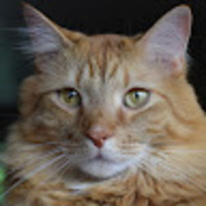 Meet your Posher, Jim